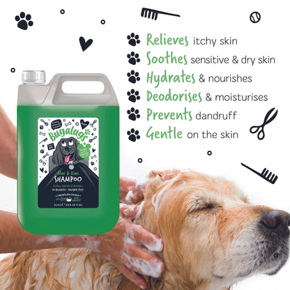 Bugalugs Soothing Aloe & Kiwi Shampoo 5 Litre