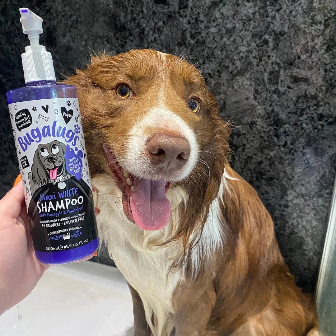 Bugalugs Maxi White Whitening Dog Shampoo 250ml