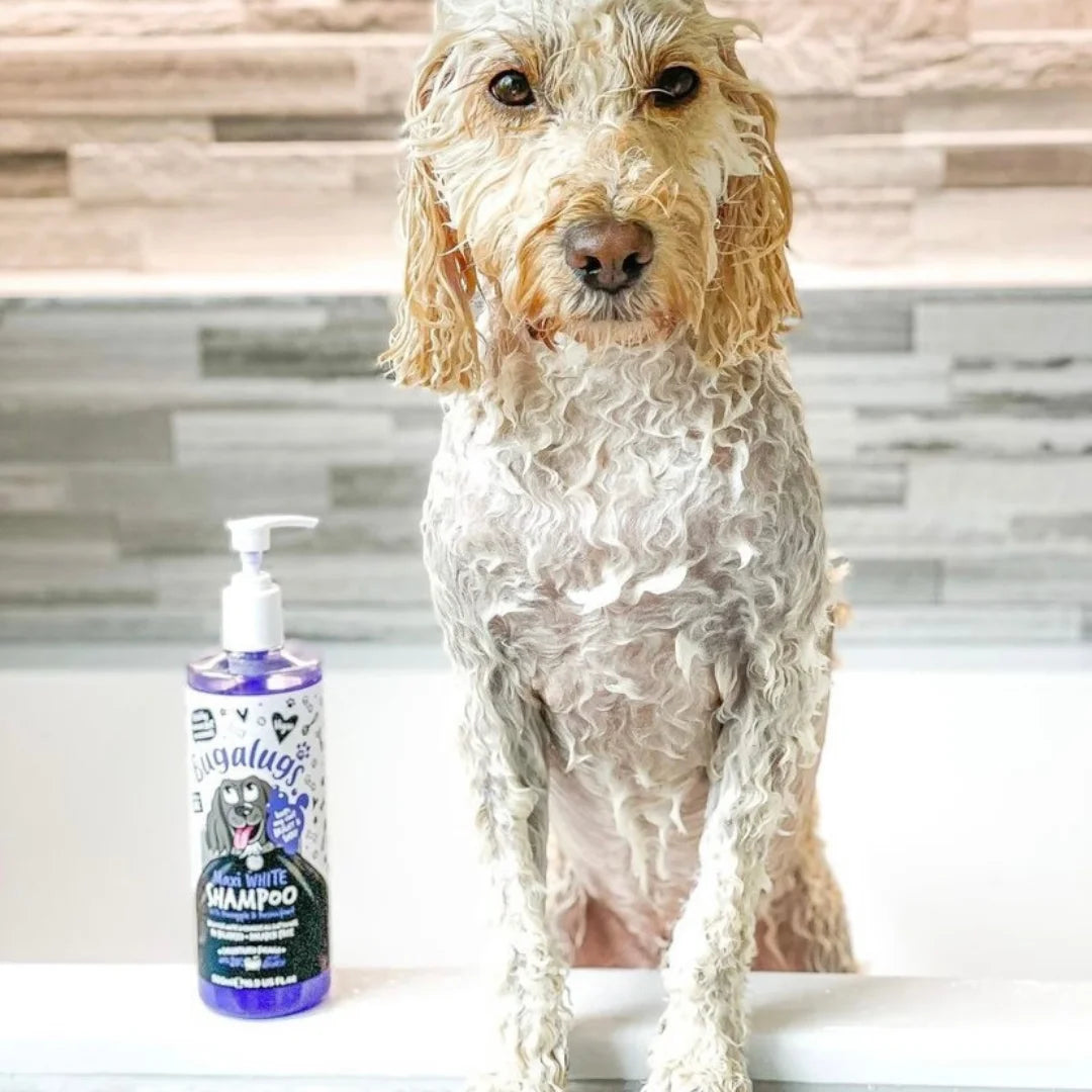 Bugalugs Maxi White Whitening Dog Shampoo  5 Litre