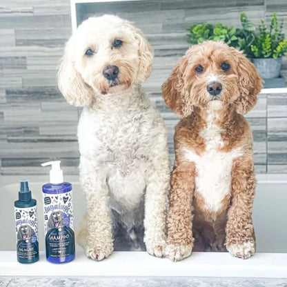 Bugalugs Maxi White Whitening Dog Shampoo  5 Litre