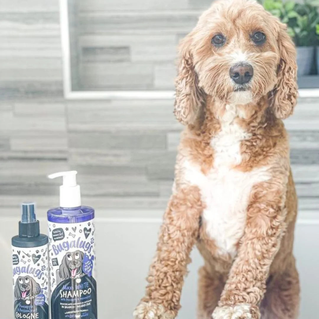 Bugalugs Maxi White Whitening Dog Shampoo  5 Litre
