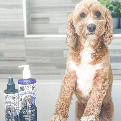 Bugalugs Maxi White Whitening Dog Shampoo 250ml