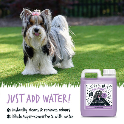 Bugalugs Artificial Grass Cleaner (Lavender Fragrance) 1 Litre
