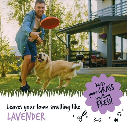 Bugalugs Artificial Grass Cleaner (Lavender Fragrance) 1 Litre