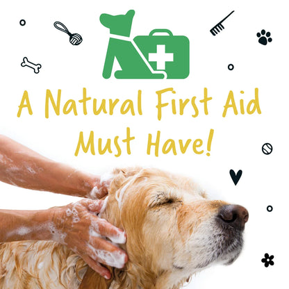 Bugalugs Medi Fresh Dog Shampoo 500ml