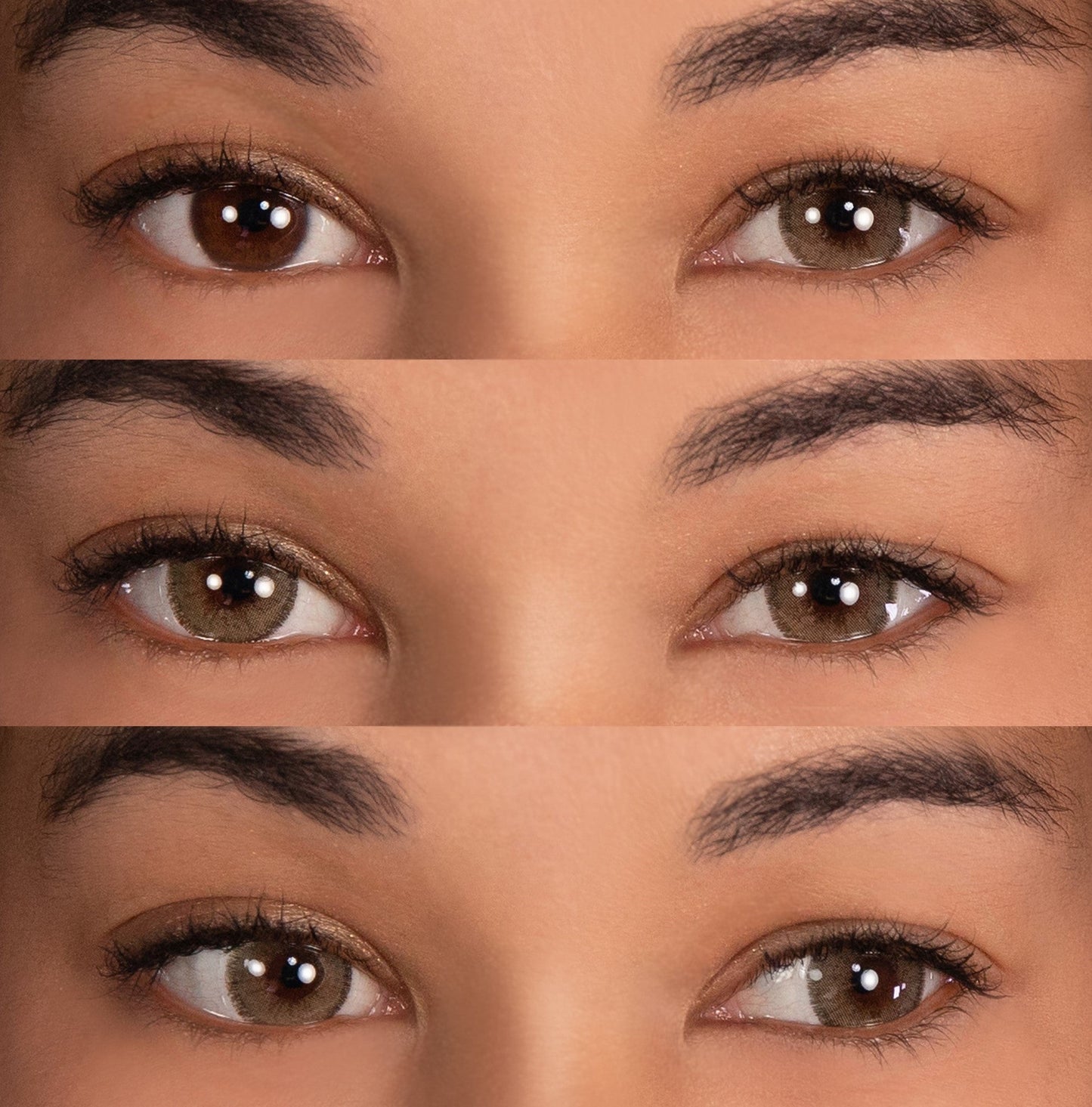 PRIMAL®  Charm Chestnut - Brown Colored Contact Lenses