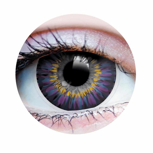 Purple colored contact lenses, coloured contact lenses, color contacts, circle lens.
