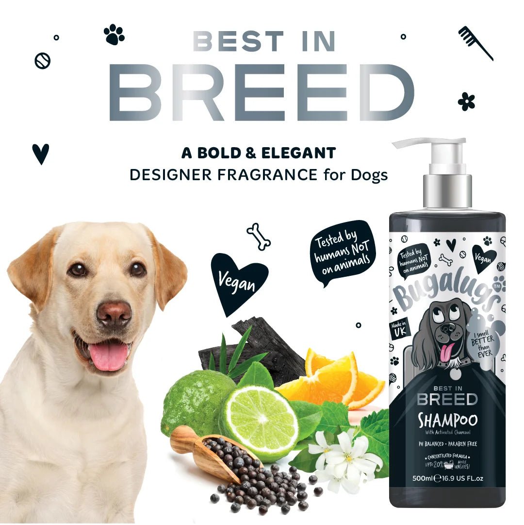Bugalugs Best in Breed Dog Shampoo 500ml