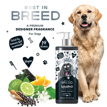Bugalugs Best in Breed Dog Shampoo 500ml
