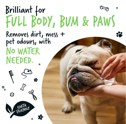 Bugalugs Biodegradable Pet Wipes (110 Large Plastic Free & plant based Wipes) Fragrance Free for Dogs & Cats