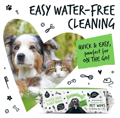 Bugalugs Biodegradable Pet Wipes (110 Large Plastic Free & plant based Wipes) Fragrance Free for Dogs & Cats