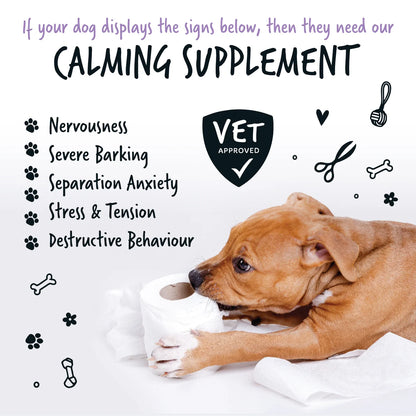 Bugalugs Calming Powder Supplement with spoon 200g