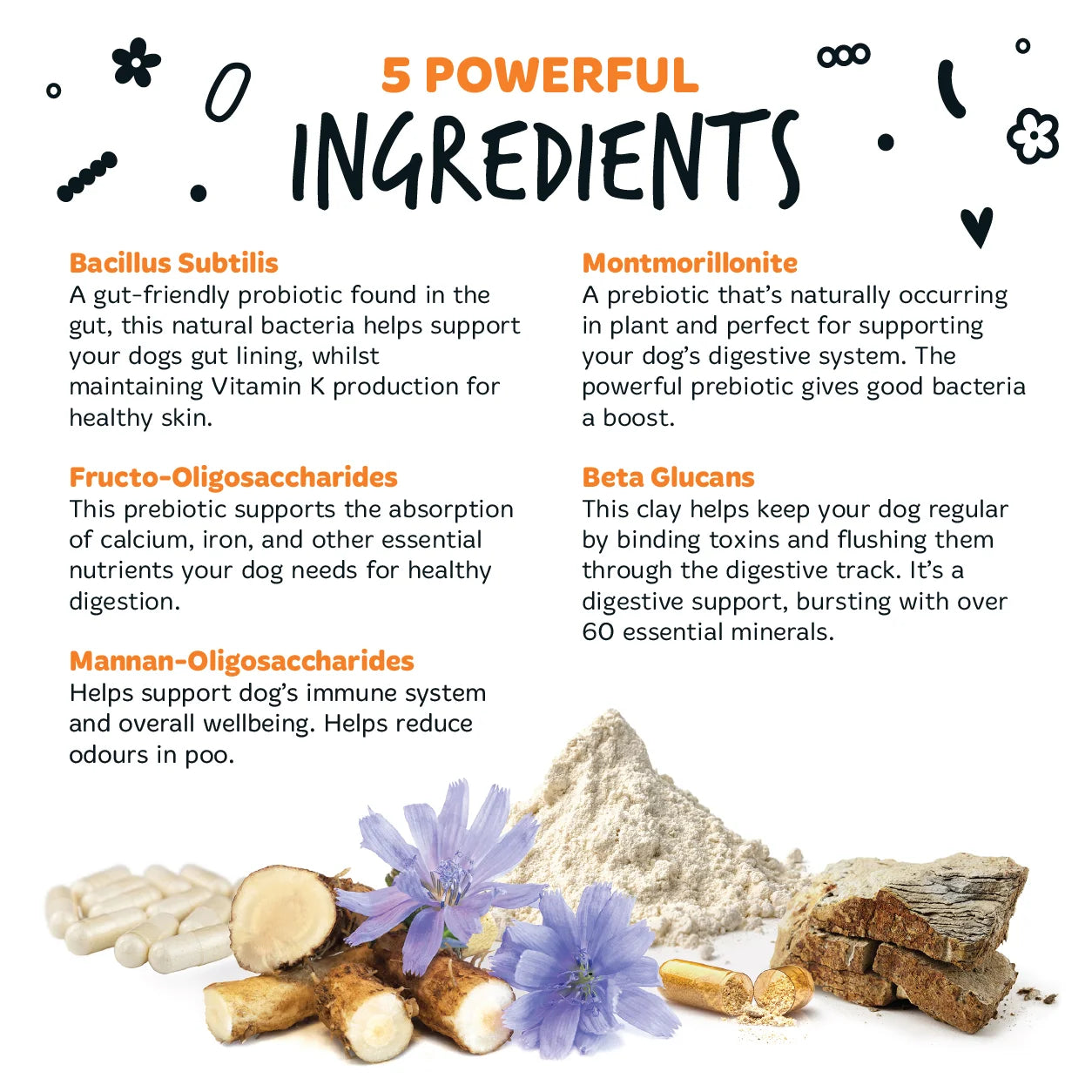Bugalugs Pre & Probiotic Digestive Powder Supplement 200g for Dogs
