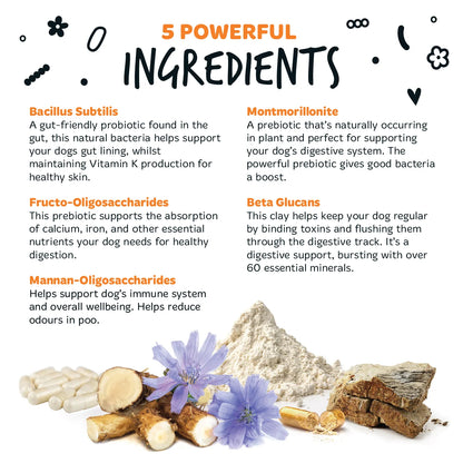 Bugalugs Pre & Probiotic Digestive Powder Supplement 200g for Dogs
