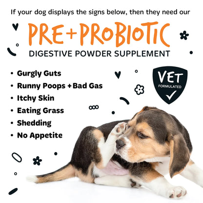 Bugalugs Pre & Probiotic Digestive Powder Supplement 200g for Dogs