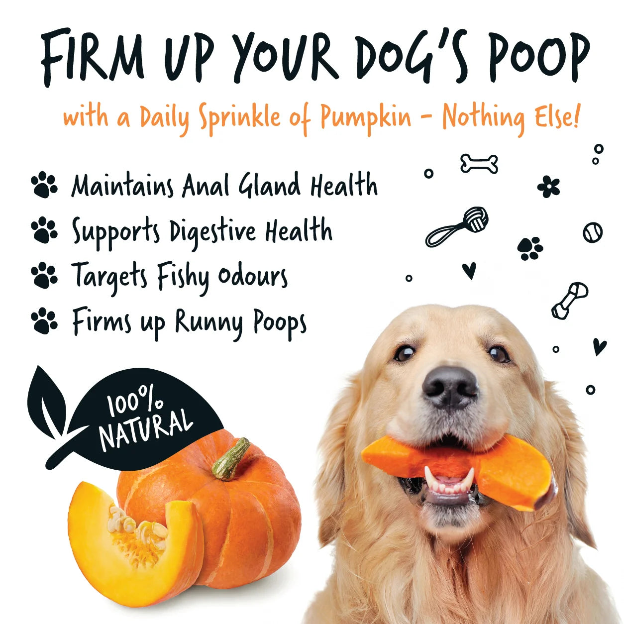 Bugalugs Pumpkin Powder 200g for Dogs