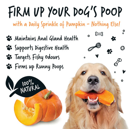 Bugalugs Pumpkin Powder 200g for Dogs