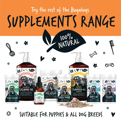 Bugalugs Pumpkin Powder 200g for Dogs