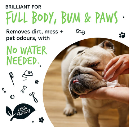 Bugalugs Biodegradable Pet Wipes (110 Large Plastic Free & plant based Wipes) Fragrance Free for Dogs & Cats