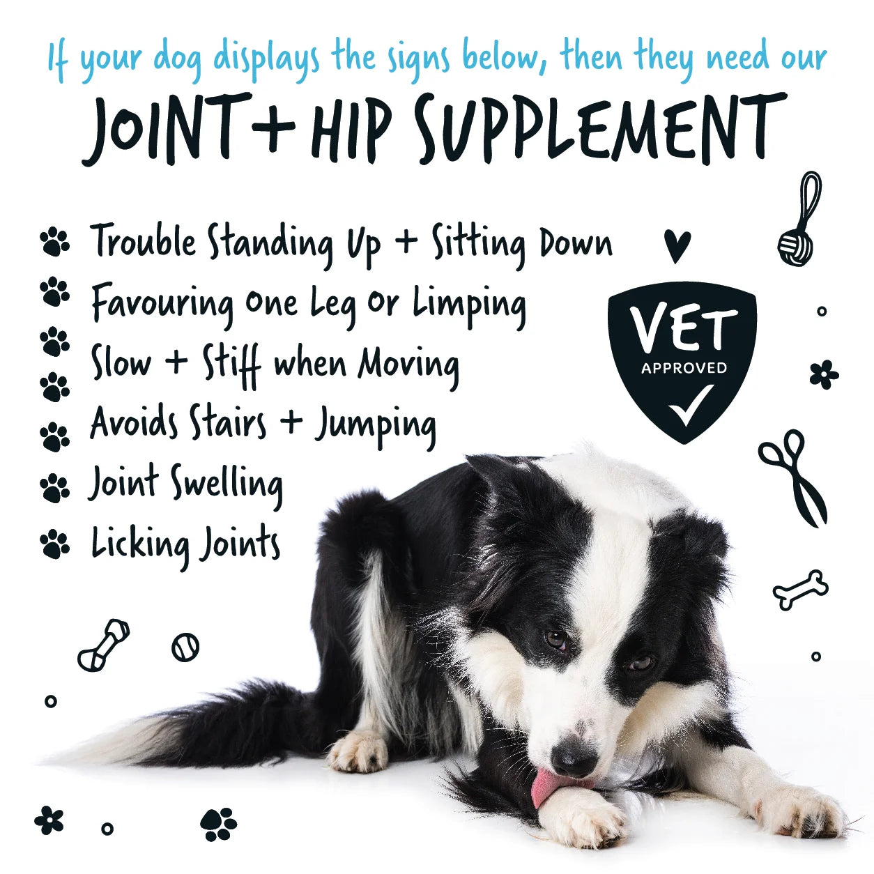 Bugalugs Joint & Hip Powder Supplement 80g for Dogs