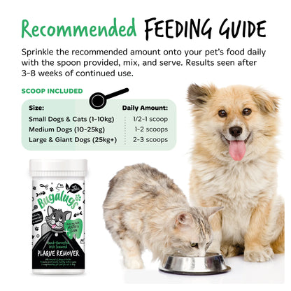 Bugalugs Cat Plaque Remover 200g