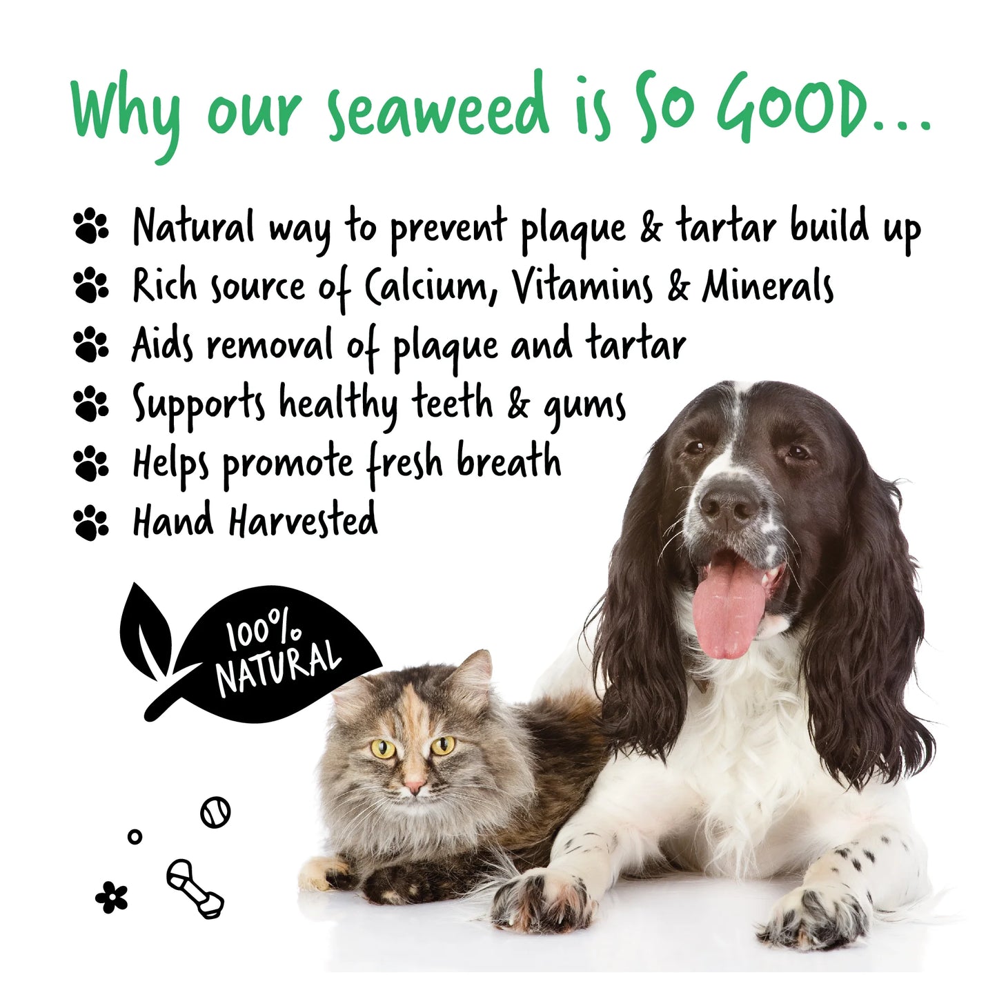 Bugalugs Cat Plaque Remover 200g
