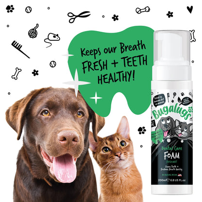 Bugalugs Dental Care Foam 200ml (Spearmint) for Dogs & Cats