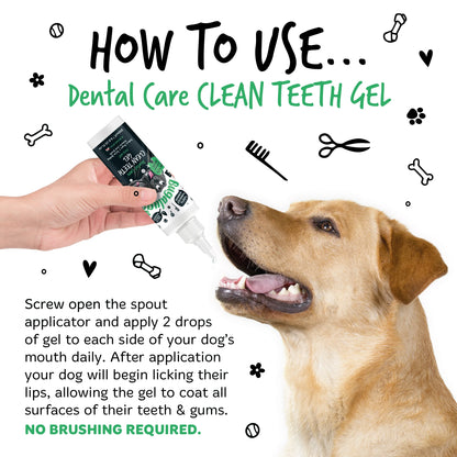 Dental Care Clean Teeth Gel 200ml for Dogs & Cats