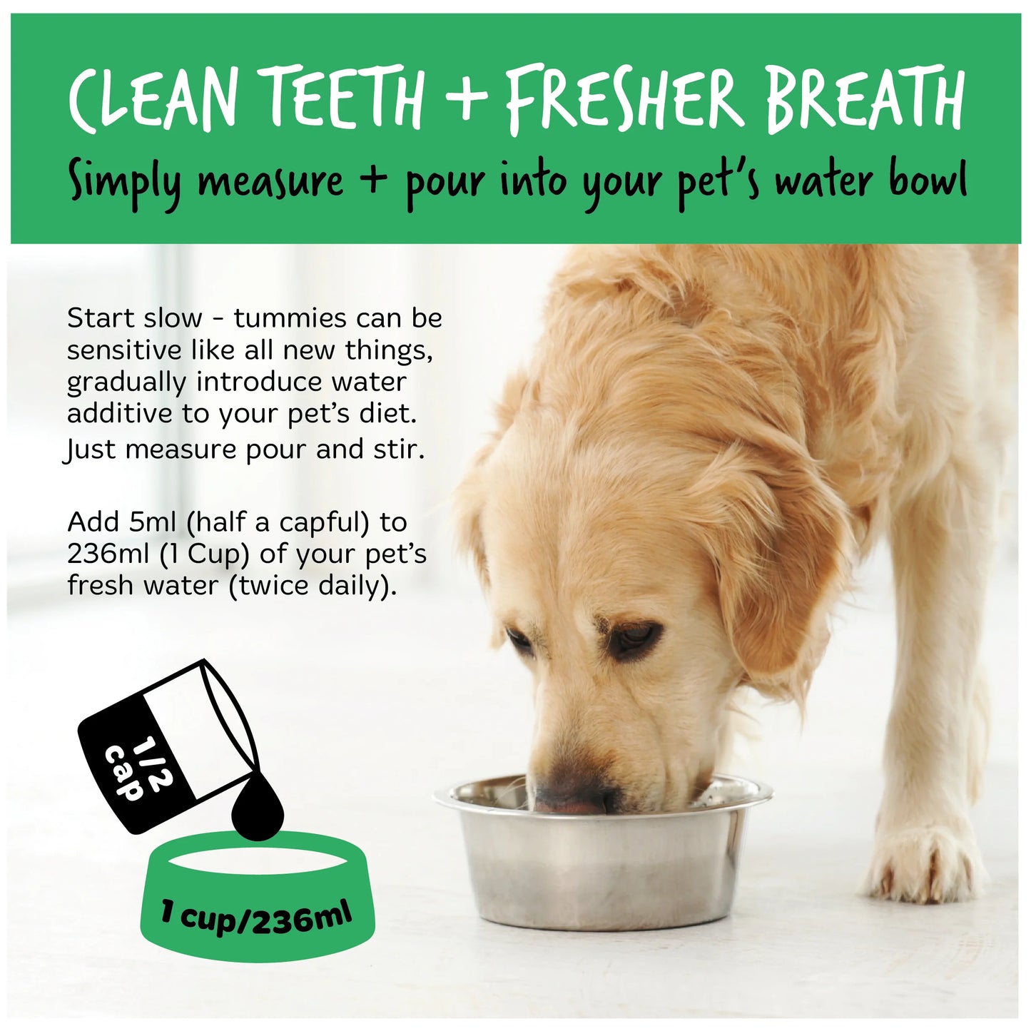 Bugalugs Dental Care Water Additive 250ml for Dogs & Cats