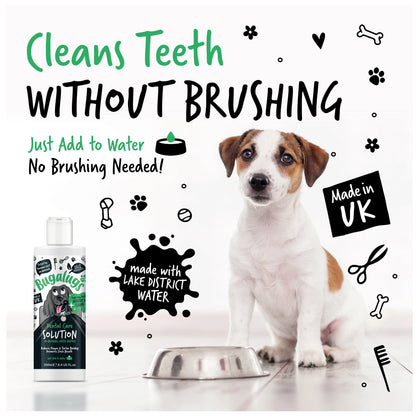 Bugalugs Dental Care Water Additive 250ml for Dogs & Cats