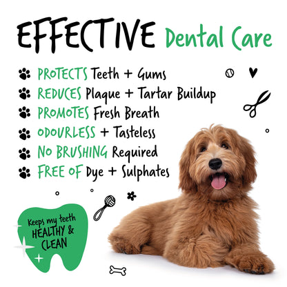 Bugalugs Dental Care Water Additive 250ml for Dogs & Cats