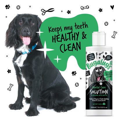 Bugalugs Dental Care Water Additive 250ml for Dogs & Cats