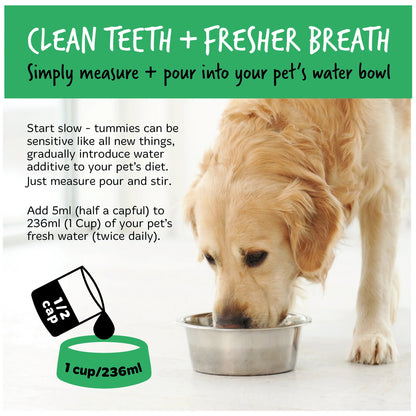 Bugalugs Dental Care Water Additive 490ml for Dogs & Cats