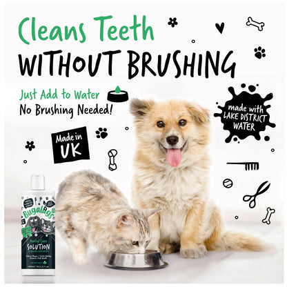 Bugalugs Dental Care Water Additive 490ml for Dogs & Cats