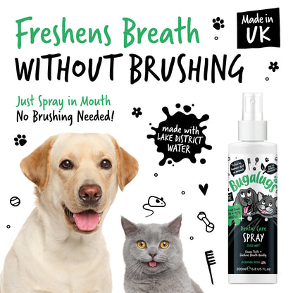 Bugalugs Dental Care Spray 200ml (Spearmint) for Dogs & Cats