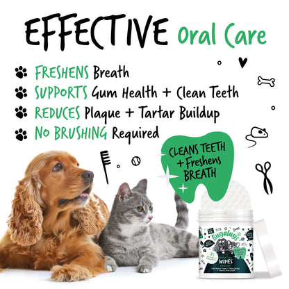 Bugalugs Dental Care Wipes (75 Bio-degradable Pre Soaked Wipes) for Dogs & Cats