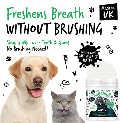 Bugalugs Dental Care Wipes (75 Bio-degradable Pre Soaked Wipes) for Dogs & Cats
