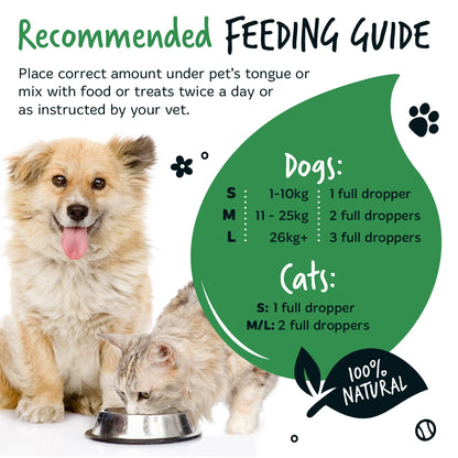 Bugalugs Organic Hemp Oil 50ml for Dogs & Cats