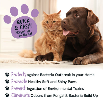 Bugalugs No Rinse Paw Cleaner Foam Shampoo 200ml - Lavender & Chamomile