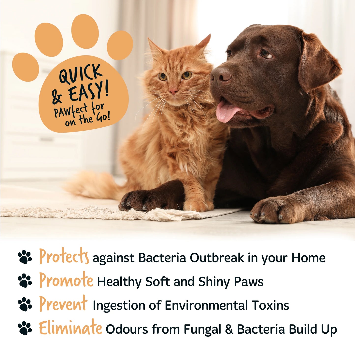 Bugalugs No Rinse Paw Cleaner Foam Shampoo 200ml - Oatmeal