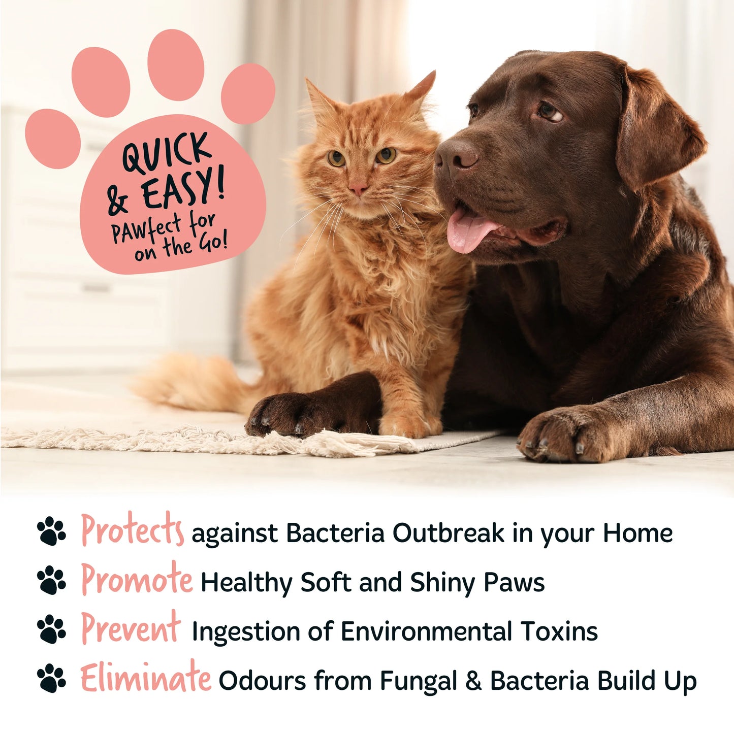 Bugalugs No Rinse Paw Cleaner Foam Shampoo 200ml - Papaya & Coconut