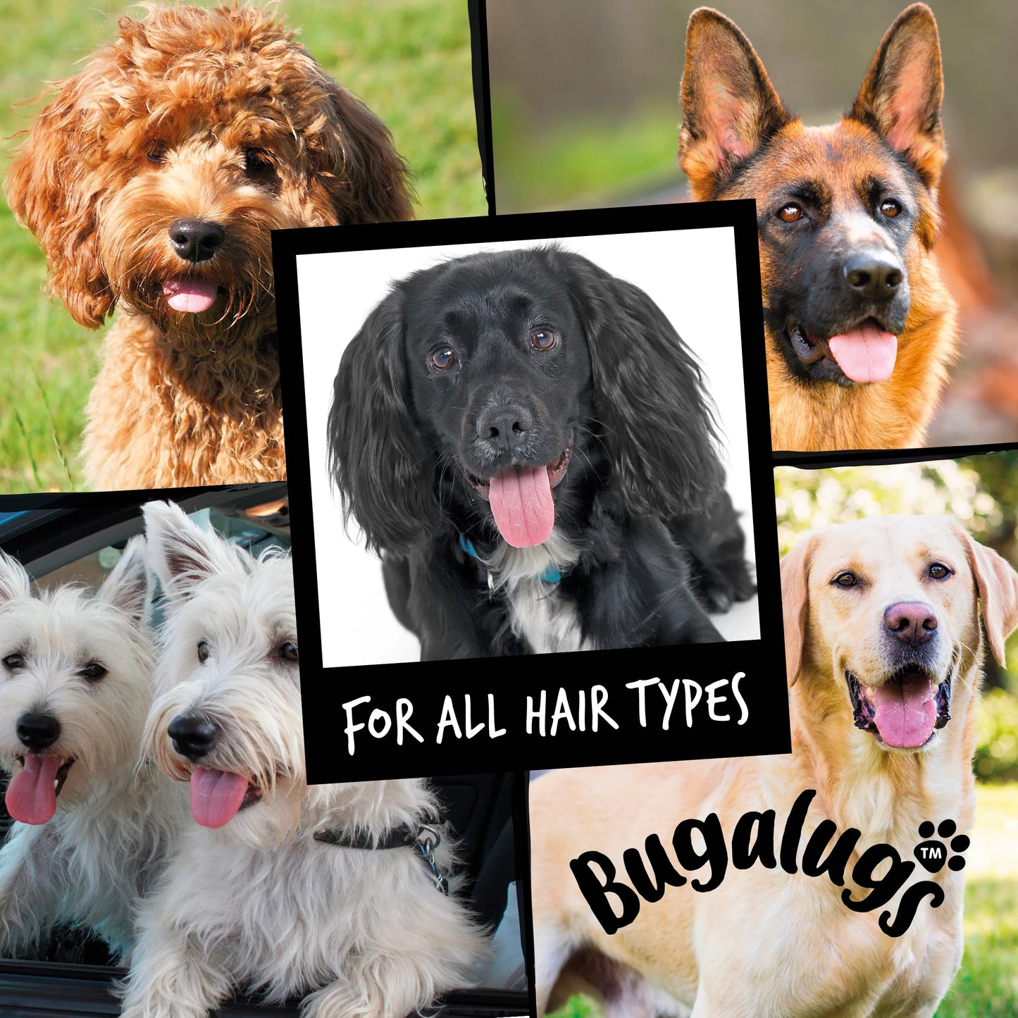 Bugalugs Maxi White Whitening Dog Shampoo 250ml