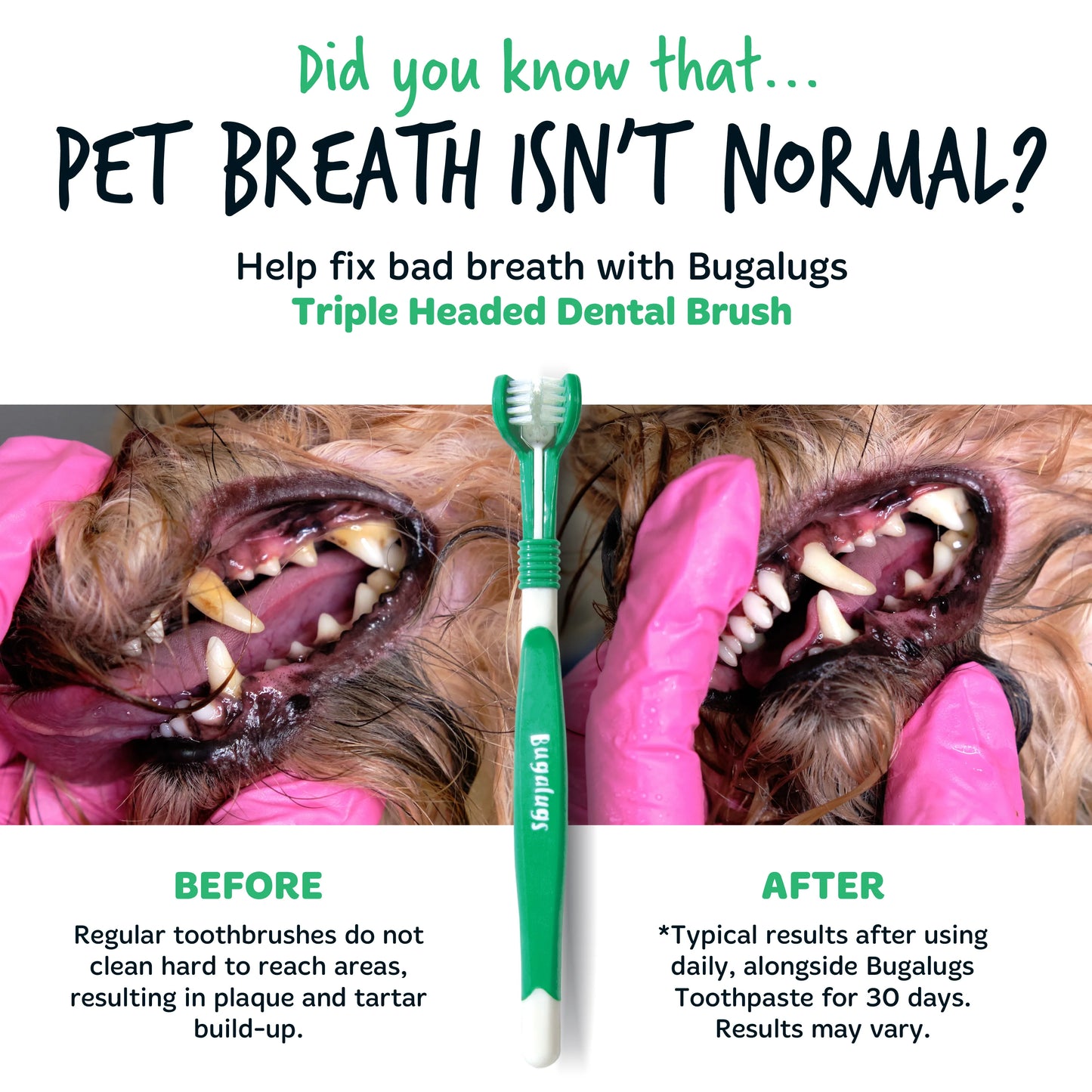 Bugalugs Triple Headed Pet Toothbrush For Dogs & Cats