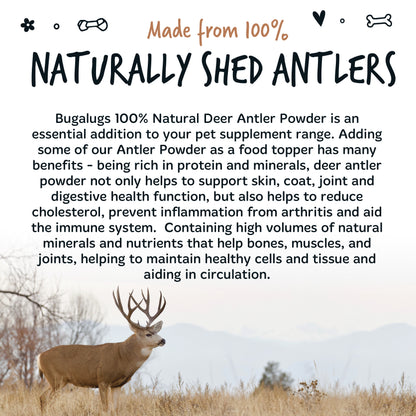 Bugalugs Deer Antler Powder 70g for Dogs