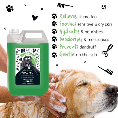 Bugalugs Soothing Aloe & Kiwi Shampoo 5 Litre